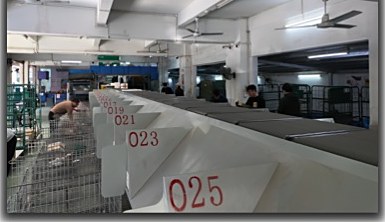 Linear cross-belt sorter line